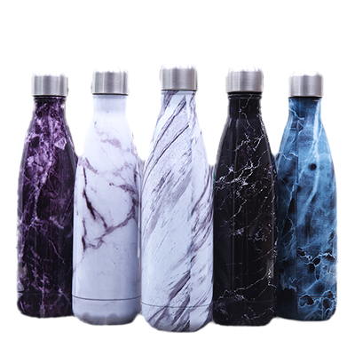 Stainless Steel Water Bottle2.png