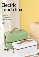 Electric Lunch Box