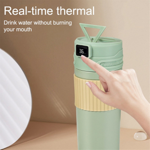 Eco Friendly Smart LED Temperature Display Thermos Mug Stainless Steel Water Bottle Vacuum Insulated Coffee Mug With Handle