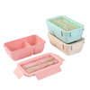 2 Compartment Versatile Wheat Straw Fiber Lunch Box with Air Vent & Utensil Set Lid